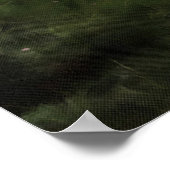 Pinus pinea Pinacoteca Poster (Ecke)