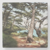 Pinus pinea Pinacoteca Steinuntersetzer (Vorderseite)