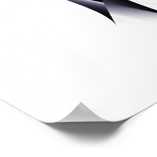 Pinwheel Chic Poster (Ecke)