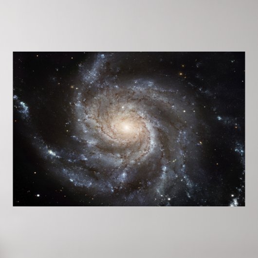 Pinwheel Galaxy M101 78x52 (57x38) Poster (Vorne)