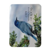 Pinyon Jay auf Juniper, Stadt Rocks, Idaho Magnet (Vertikal)