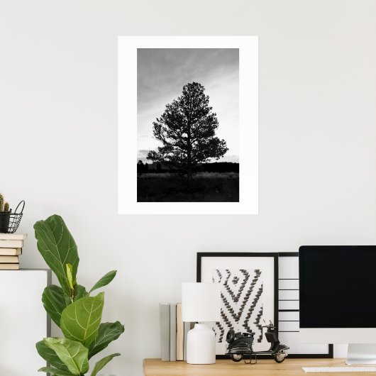 Pinyon Tree Silhouette Poster (Heimbüro)