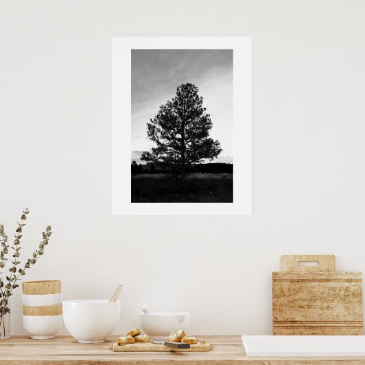 Pinyon Tree Silhouette Poster (Küche)