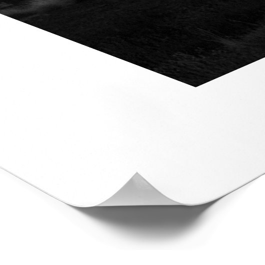 Pinyon Tree Silhouette Poster (Ecke)