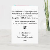 Pinzellenvorkommen Karte (Rückseite)