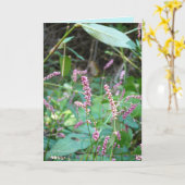 Pinzellenvorkommen Karte (Gelbe Blume)