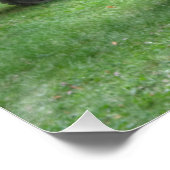 Pinzgauer 712 SAN Poster (Ecke)