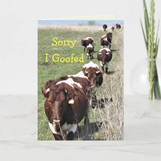 Pinzgauer 8371 Belated Birthday Card - anpassen Dankeskarte (Vorderseite)