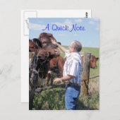 Pinzgauer Bull & Kühe - anpassen Postkarte (Vorne/Hinten)