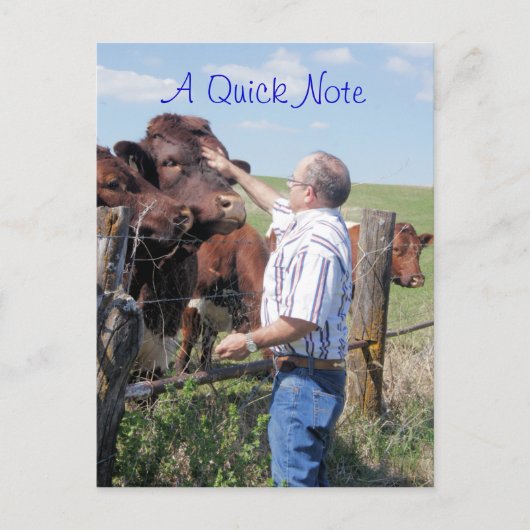 Pinzgauer Bull & Kühe - anpassen Postkarte (Vorderseite)