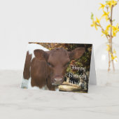 Pinzgauer Kalb Tansy-fertigen jedes mögliches Karte (Gelbe Blume)