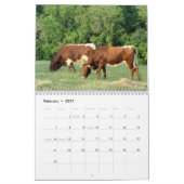 Pinzgauer Kalender-Änderung Jahr 2017, wie Kalender (Feb 2027)