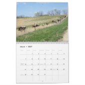 Pinzgauer Kalender-Änderung Jahr 2017, wie Kalender (Mär 2027)