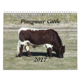 Pinzgauer Kalender-Änderung Jahr 2017, wie Kalender