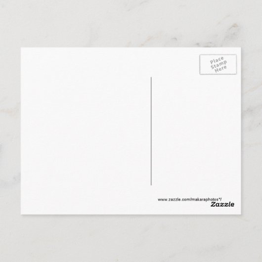 Pinzgauer Rinder 8371 leere Postkarte - anpassen (Rückseite)