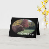 Pinzguaer BlkOval-fertigen jede mögliche Karte (Gelbe Blume)