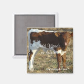 Pinzguar Calf Square Magnet - anpassen (Vorderseite/Rückseite)