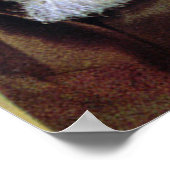 Pio San Pio Poster (Ecke)