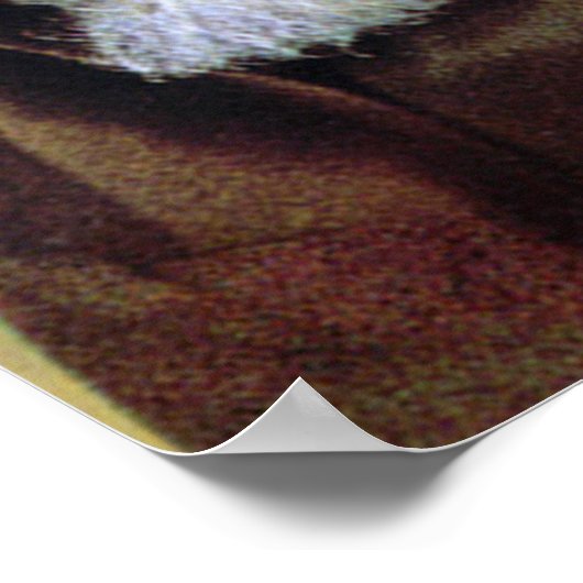 Pio San Pio Poster (Ecke)