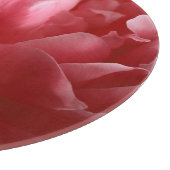 Pion blüht Macro, rosa rot. Schneidebrett (Ecke)