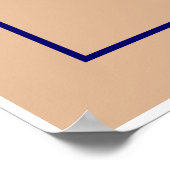 Pioneer Plaque Poster (Ecke)