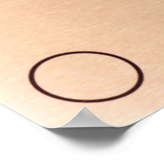 Pioneer Plaque Poster (Ecke)