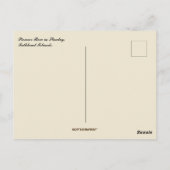 Pioneer Row Stanley Falkland Islands Postkarte (Rückseite)