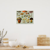 Piosonous Fungi - Pilze und Toadstocker Poster (Küche)