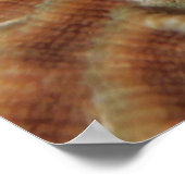 Pipefish auf Brain Coral Poster (Ecke)