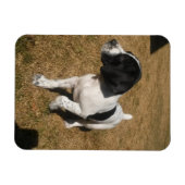 Piper Magnet (Horizontal)