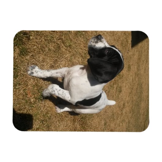 Piper Magnet (Horizontal)