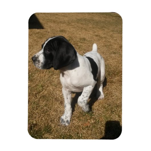 Piper Magnet (Vertikal)