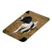 Piper Magnet (Linke Seite)