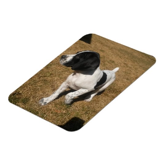 Piper Magnet (Linke Seite)