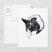 Piper - Schlafen Postkarte (Vorne/Hinten)