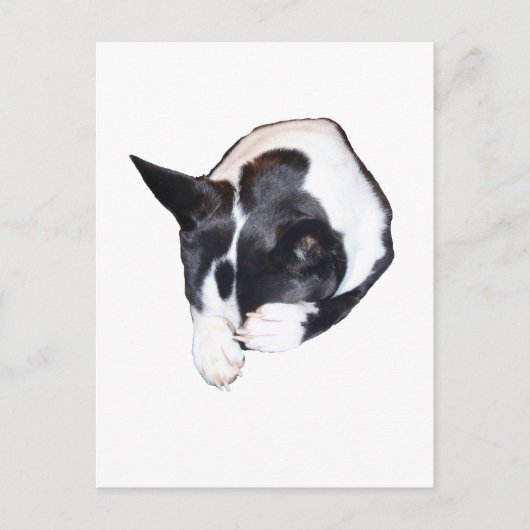 Piper - Schlafen Postkarte (Vorderseite)