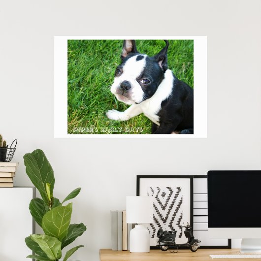 Pipers frühe Tage Poster (Heimbüro)