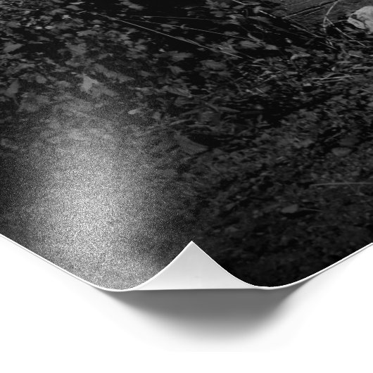 "Piper's Gazebo" Fotodruck (Ecke)