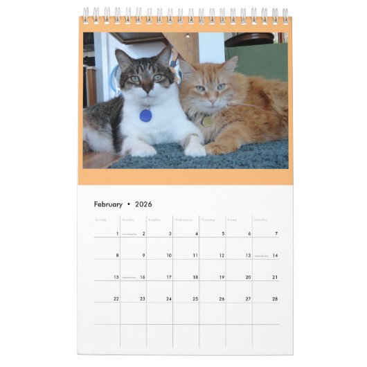 PipersPuddycats 2020 Kalender (Feb 2026)