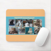 PipersPuddycats Mausunterlage Mousepad (Mit Mouse)