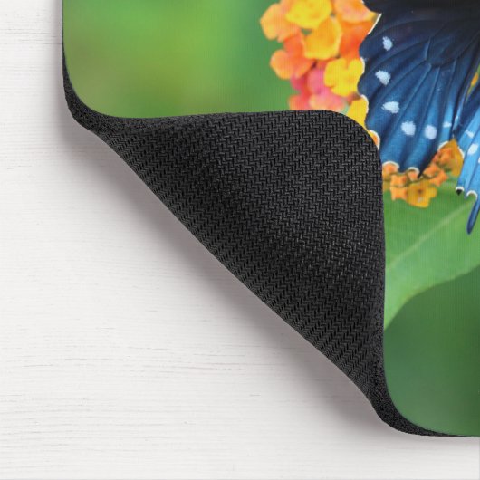 Pipevine/Blue Frack Butterfly auf der Blume Mousepad (Ecke)