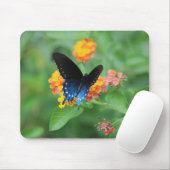 Pipevine/Blue Frack Butterfly auf der Blume Mousepad (Mit Mouse)