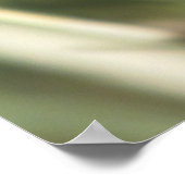 Pipevine Frack Butterfly Raupe Poster (Ecke)