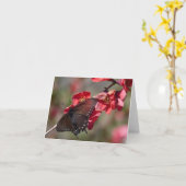 Pipevine Frack Card Karte (Gelbe Blume)