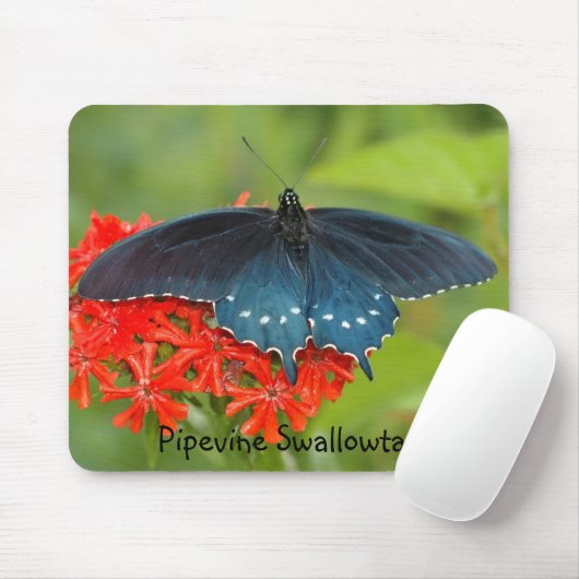 Pipevine Frack Mousepad (Mit Mouse)
