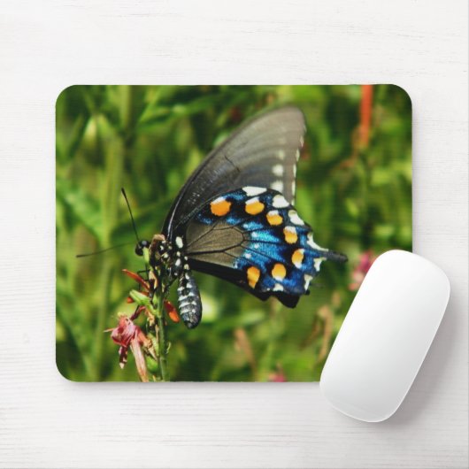 Pipevine Frack Mousepad (Mit Mouse)