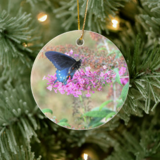 Pipevine Swallowtail on Butterfly Bush Keramik Ornament