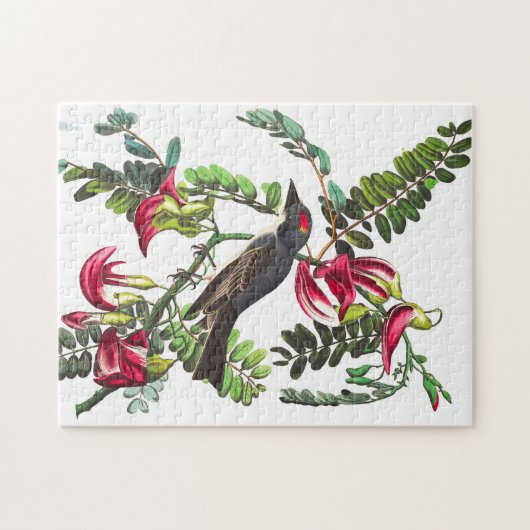 Piping Flycatcher von John James Audubon Puzzle (Horizontal)