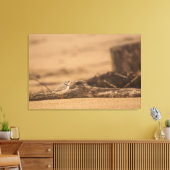 PIPING PLOVER 36 X 24 WRAPPED CANVAS DRUCK LEINWANDDRUCK (Insitu (Wohnzimmer))