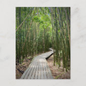 Pipiwai Trail, Haleakala Nationalpark, Maui Postkarte (Vorderseite)